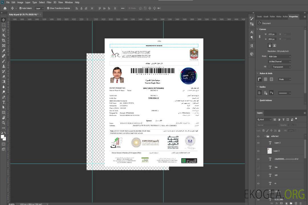 Modèle de visa électronique des Émirats arabes unis aux formats Word et PDF, version 5 template